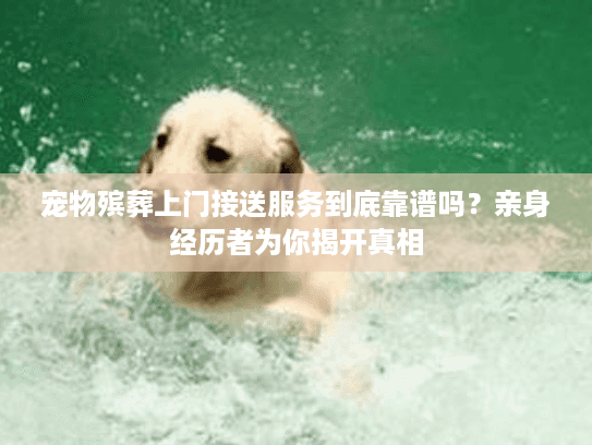 宠物殡葬上门接送服务到底靠谱吗？亲身经历者为你揭开真相