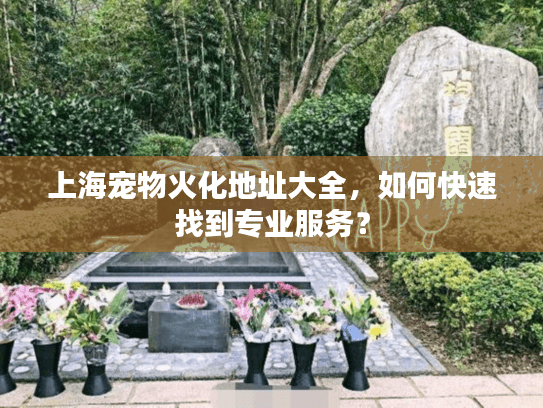 上海宠物火化地址大全，如何快速找到专业服务？