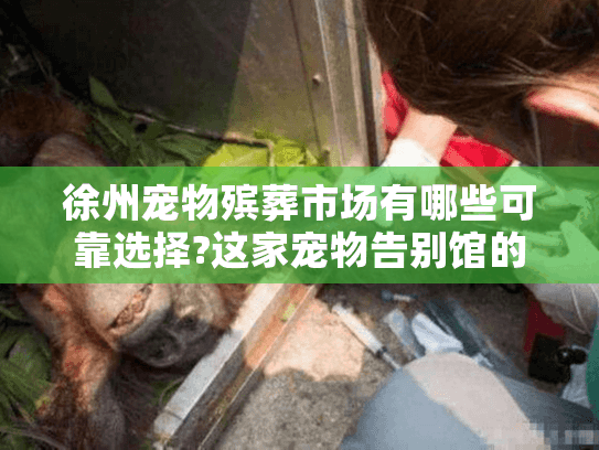 徐州宠物殡葬市场有哪些可靠选择?这家宠物告别馆的服务体验实录