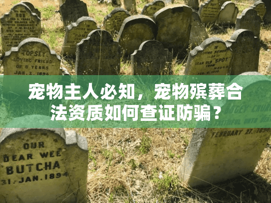 宠物主人必知，宠物殡葬合法资质如何查证防骗？