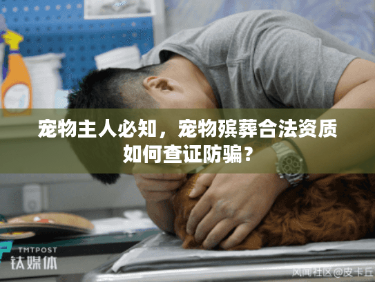 宠物主人必知，宠物殡葬合法资质如何查证防骗？
