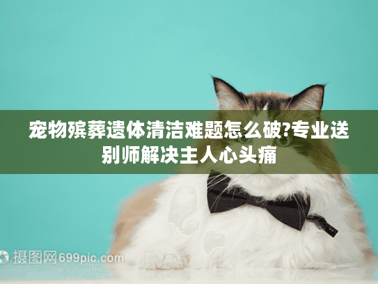 宠物殡葬遗体清洁难题怎么破?专业送别师解决主人心头痛