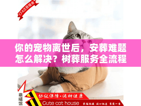 你的宠物离世后,安葬难题怎么解决?树葬服务全流程解析 你的宠物离世后,安葬难题怎么解决?树葬服务全流程解析