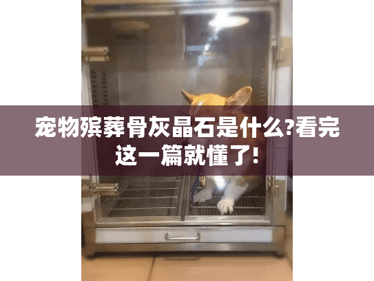 宠物殡葬骨灰晶石是什么?看完这一篇就懂了!
