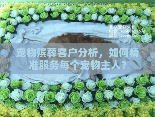 宠物殡葬客户分析，如何精准服务每个宠物主人？