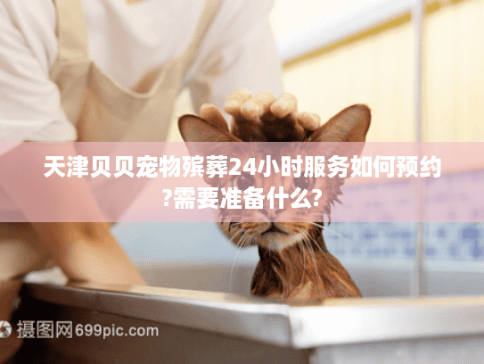 天津贝贝宠物殡葬24小时服务如何预约?需要准备什么?
