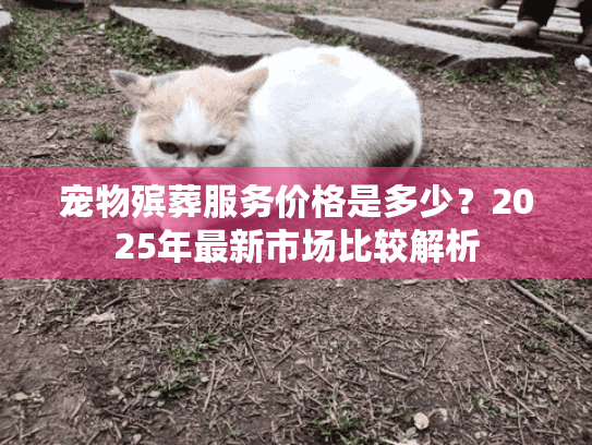 宠物殡葬服务价格是多少？2025年最新市场比较解析