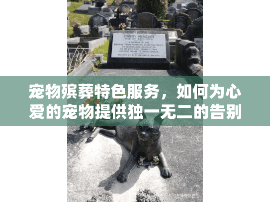 宠物殡葬特色服务，如何为心爱的宠物提供独一无二的告别仪式？