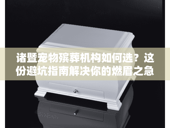 诸暨宠物殡葬机构如何选？这份避坑指南解决你的燃眉之急