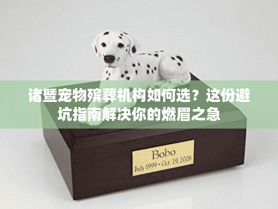 诸暨宠物殡葬机构如何选？这份避坑指南解决你的燃眉之急