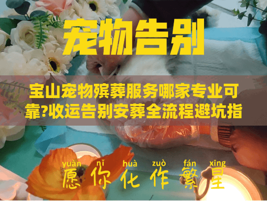 宝山宠物殡葬服务哪家专业可靠?收运告别安葬全流程避坑指南