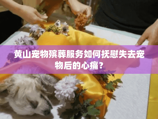 黄山宠物殡葬服务如何抚慰失去宠物后的心痛？