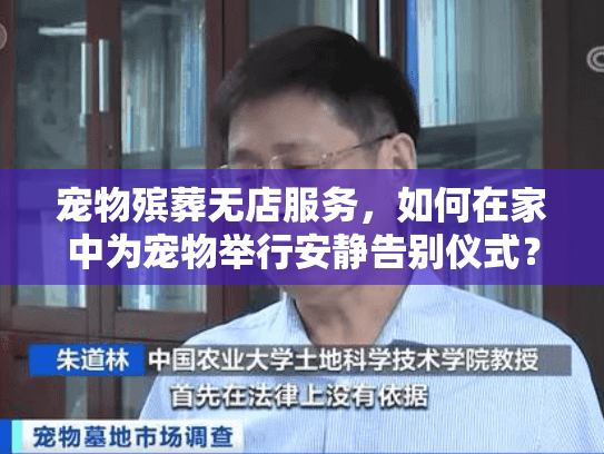 宠物殡葬无店服务，如何在家中为宠物举行安静告别仪式？
