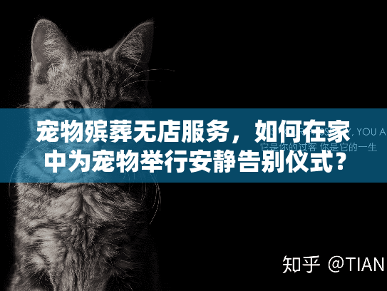 宠物殡葬无店服务，如何在家中为宠物举行安静告别仪式？