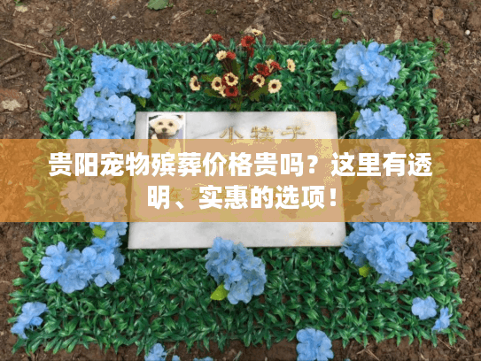 贵阳宠物殡葬价格贵吗？这里有透明、实惠的选项！