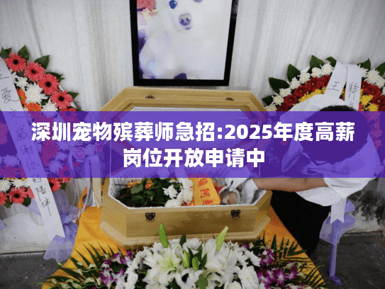 深圳宠物殡葬师急招:2025年度高薪岗位开放申请中