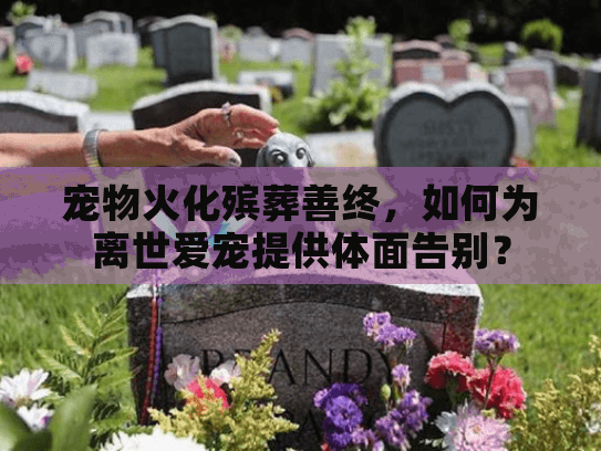 宠物火化殡葬善终，如何为离世爱宠提供体面告别？