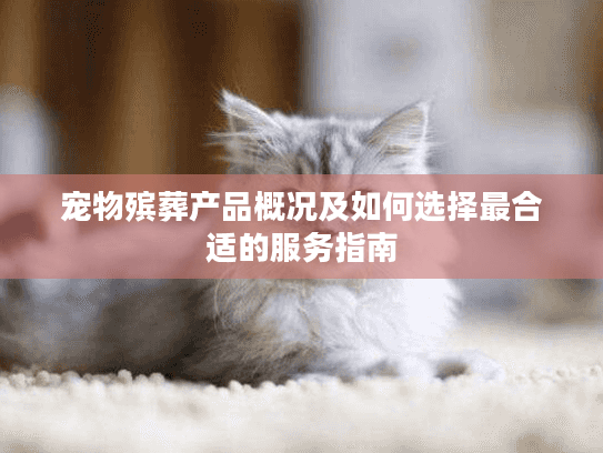 宠物殡葬产品概况及如何选择最合适的服务指南