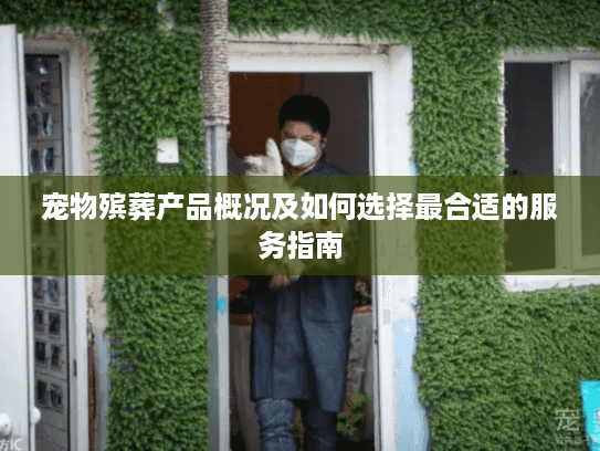 宠物殡葬产品概况及如何选择最合适的服务指南