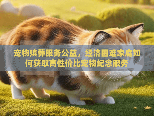 宠物殡葬服务公益，经济困难家庭如何获取高性价比宠物纪念服务