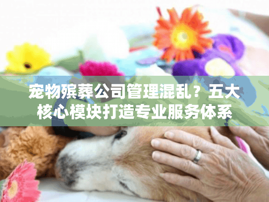 宠物殡葬公司管理混乱？五大核心模块打造专业服务体系