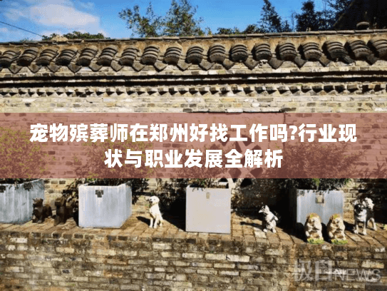宠物殡葬师在郑州好找工作吗?行业现状与职业发展全解析