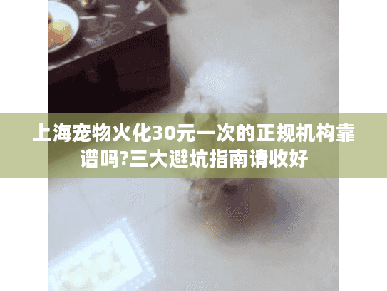 上海宠物火化30元一次的正规机构靠谱吗?三大避坑指南请收好