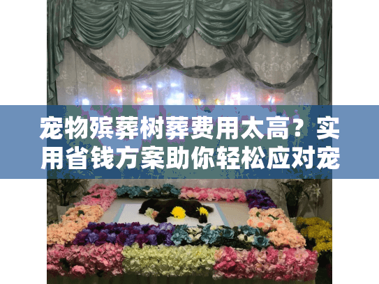 宠物殡葬树葬费用太高？实用省钱方案助你轻松应对宠物离别伤痛