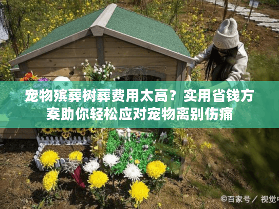 宠物殡葬树葬费用太高？实用省钱方案助你轻松应对宠物离别伤痛
