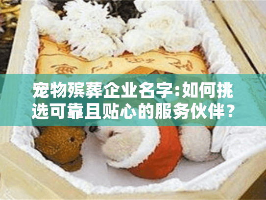 宠物殡葬企业名字:如何挑选可靠且贴心的服务伙伴？