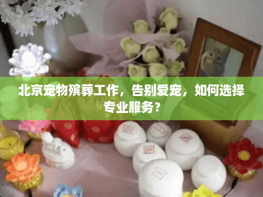 北京宠物殡葬工作，告别爱宠，如何选择专业服务？