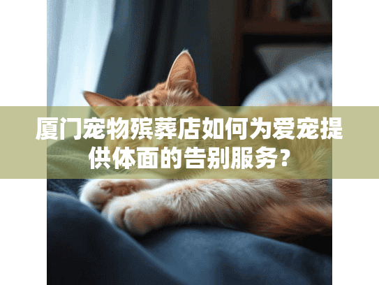 厦门宠物殡葬店如何为爱宠提供体面的告别服务？
