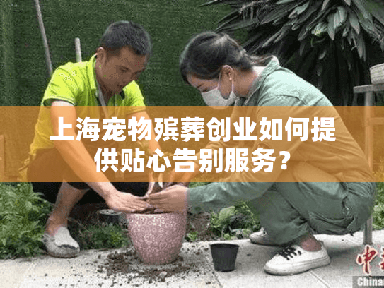 上海宠物殡葬创业如何提供贴心告别服务？