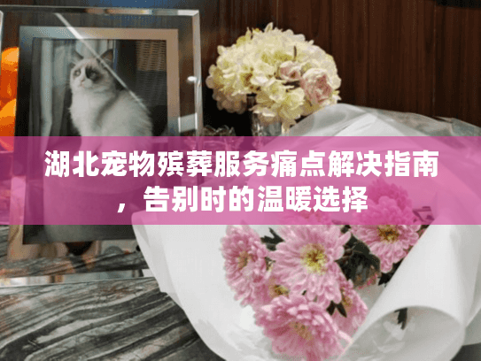 湖北宠物殡葬服务痛点解决指南，告别时的温暖选择