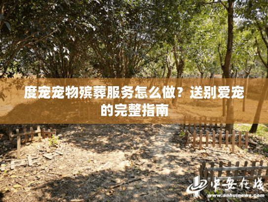 度宠宠物殡葬服务怎么做？送别爱宠的完整指南