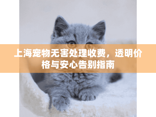 上海宠物无害处理收费，透明价格与安心告别指南