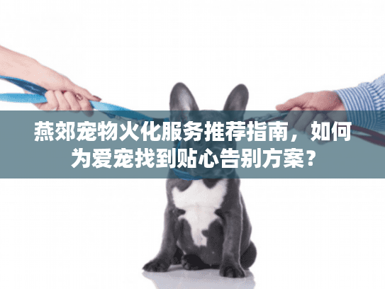 燕郊宠物火化服务推荐指南，如何为爱宠找到贴心告别方案？