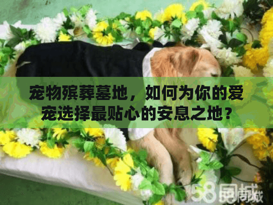 宠物殡葬墓地,如何为你的爱宠选择最贴心的安息之地? 宠物殡葬墓地,如何为你的爱宠选择最贴心的安息之地?