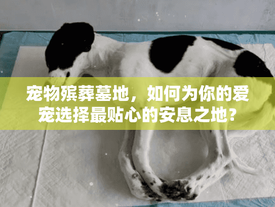 宠物殡葬墓地,如何为你的爱宠选择最贴心的安息之地? 宠物殡葬墓地,如何为你的爱宠选择最贴心的安息之地?
