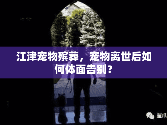 江津宠物殡葬，宠物离世后如何体面告别？
