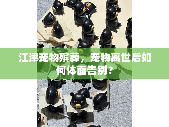 江津宠物殡葬，宠物离世后如何体面告别？