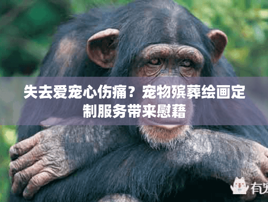 失去爱宠心伤痛？宠物殡葬绘画定制服务带来慰藉