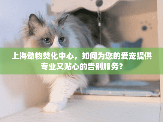 上海动物焚化中心，如何为您的爱宠提供专业又贴心的告别服务？