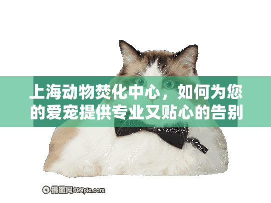 上海动物焚化中心，如何为您的爱宠提供专业又贴心的告别服务？