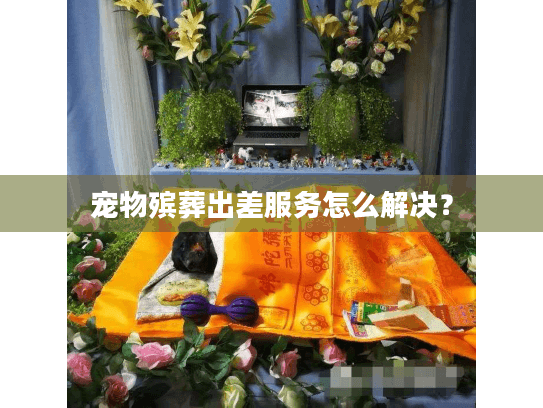 宠物殡葬出差服务怎么解决？