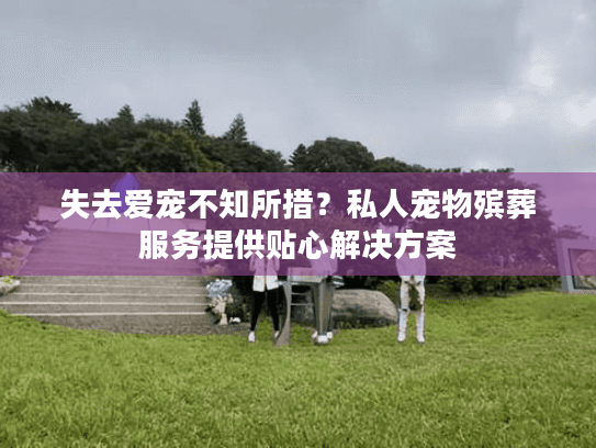 失去爱宠不知所措?私人宠物殡葬服务提供贴心解决方案 失去爱宠不知所措?私人宠物殡葬服务提供贴心解决方案