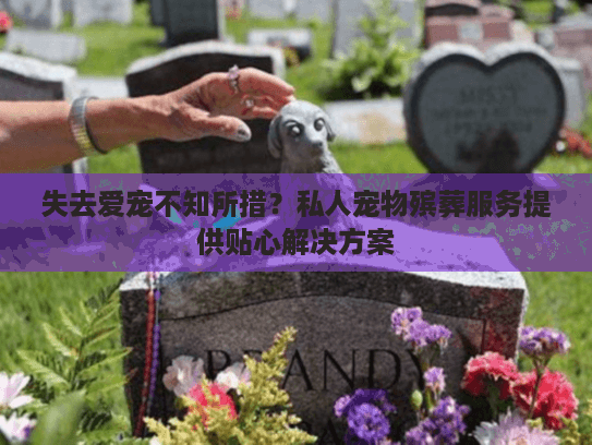 失去爱宠不知所措？私人宠物殡葬服务提供贴心解决方案