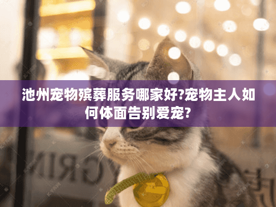 池州宠物殡葬服务哪家好?宠物主人如何体面告别爱宠?