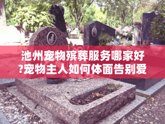 池州宠物殡葬服务哪家好?宠物主人如何体面告别爱宠?