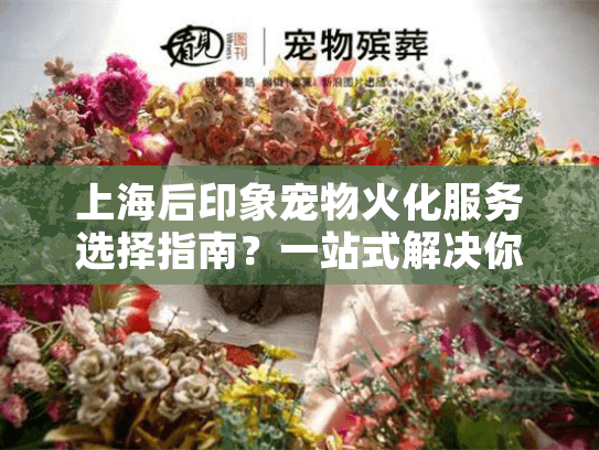 上海后印象宠物火化服务选择指南？一站式解决你的宠物殡葬困惑